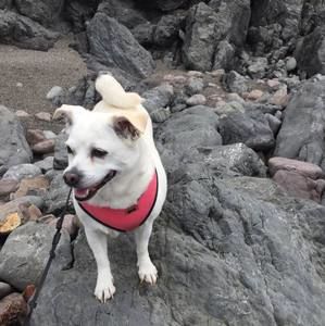 Meet your Posher, Jon